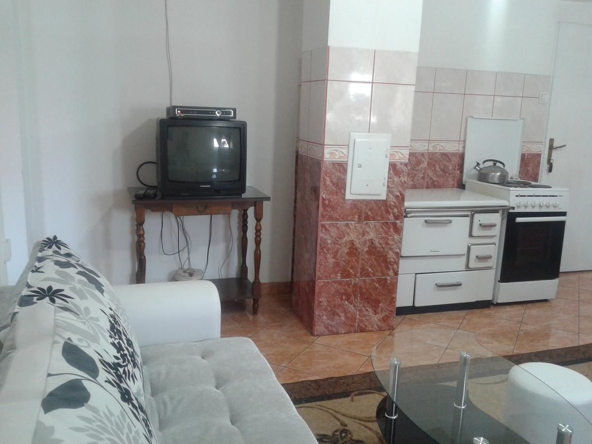 Гостевой дом Apartmani Sobe Sljivancanin Жабляк-28
