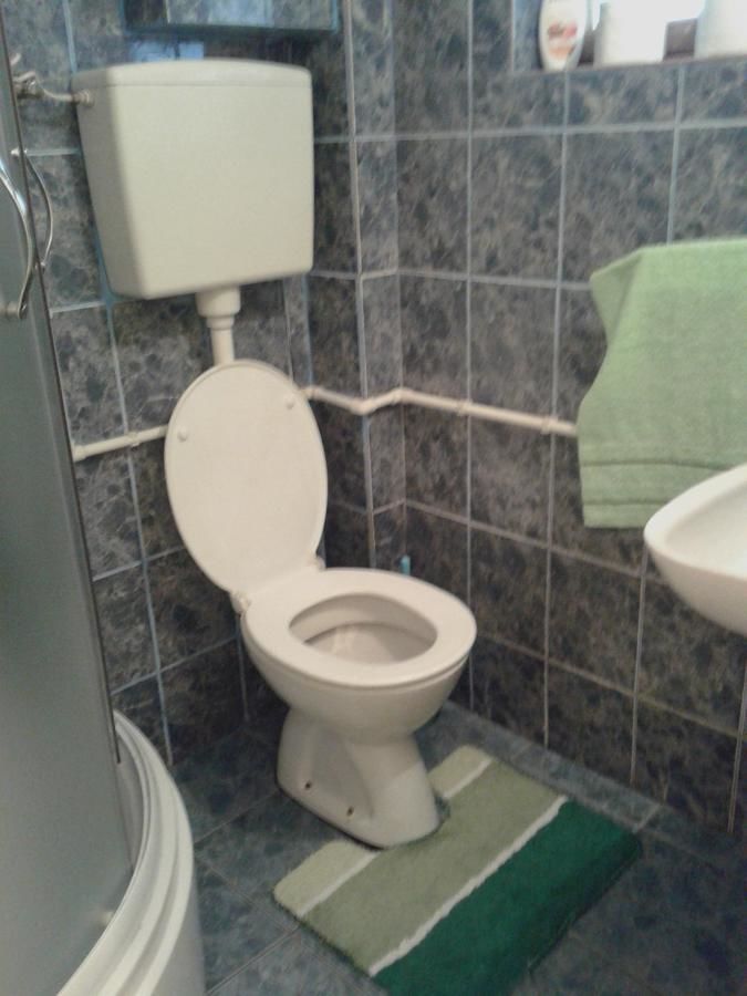 Гостевой дом Apartmani Sobe Sljivancanin Жабляк-34