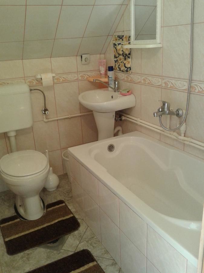 Гостевой дом Apartmani Sobe Sljivancanin Жабляк-35