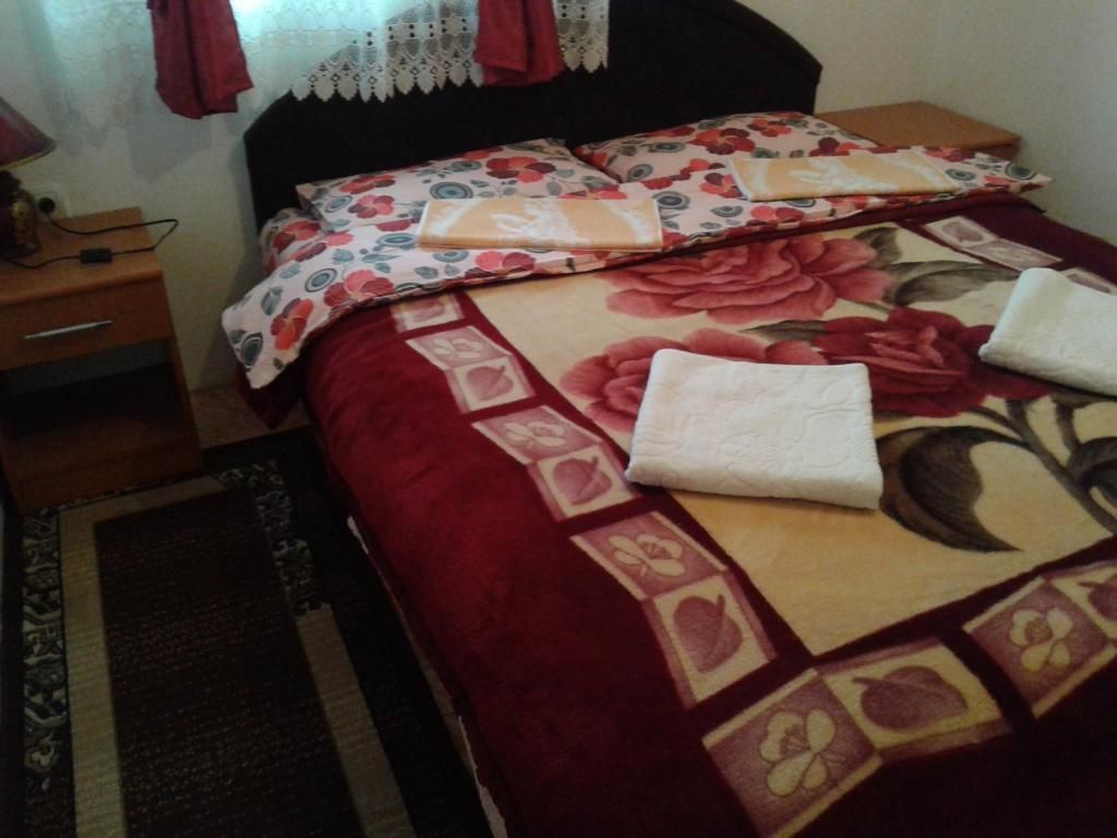 Гостевой дом Apartmani Sobe Sljivancanin Жабляк-58