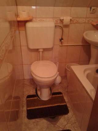 Гостевой дом Apartmani Sobe Sljivancanin Жабляк Стандартный двухместный номер с 1 кроватью и общей ванной комнатой-16