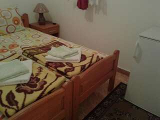 Гостевой дом Apartmani Sobe Sljivancanin Жабляк Апартаменты с 1 спальней-10