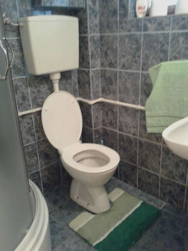 Гостевой дом Apartmani Sobe Sljivancanin Жабляк-33