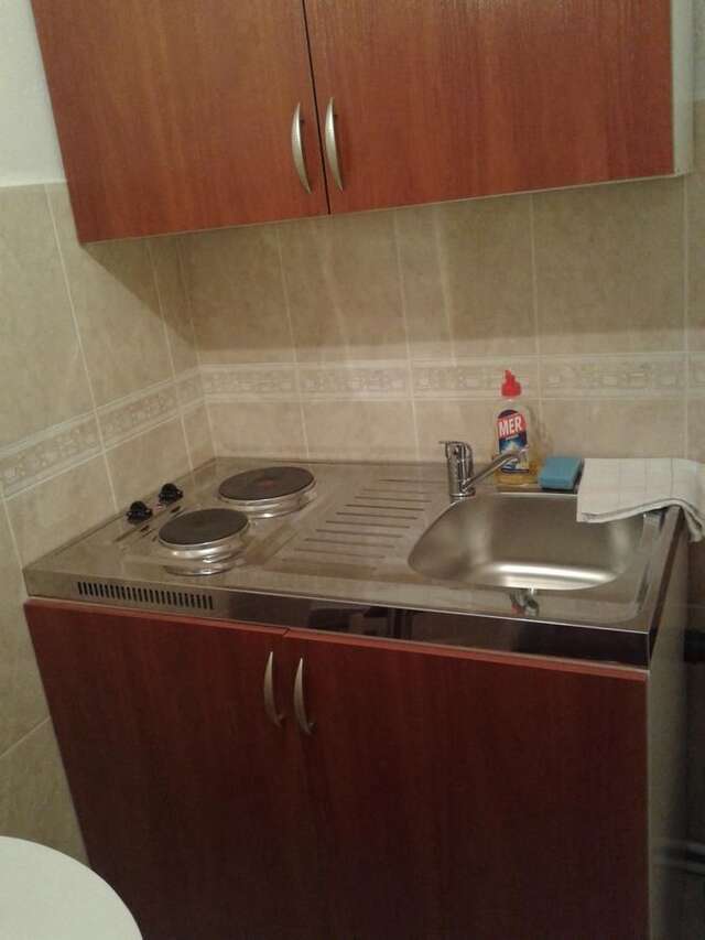 Гостевой дом Apartmani Sobe Sljivancanin Жабляк-41